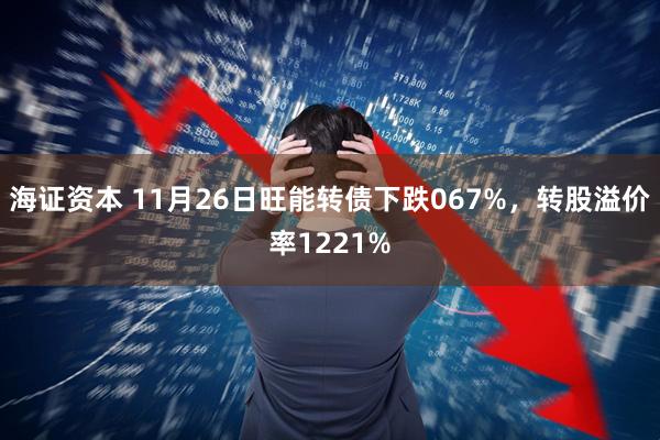 海证资本 11月26日旺能转债下跌067%，转股溢价率1221%